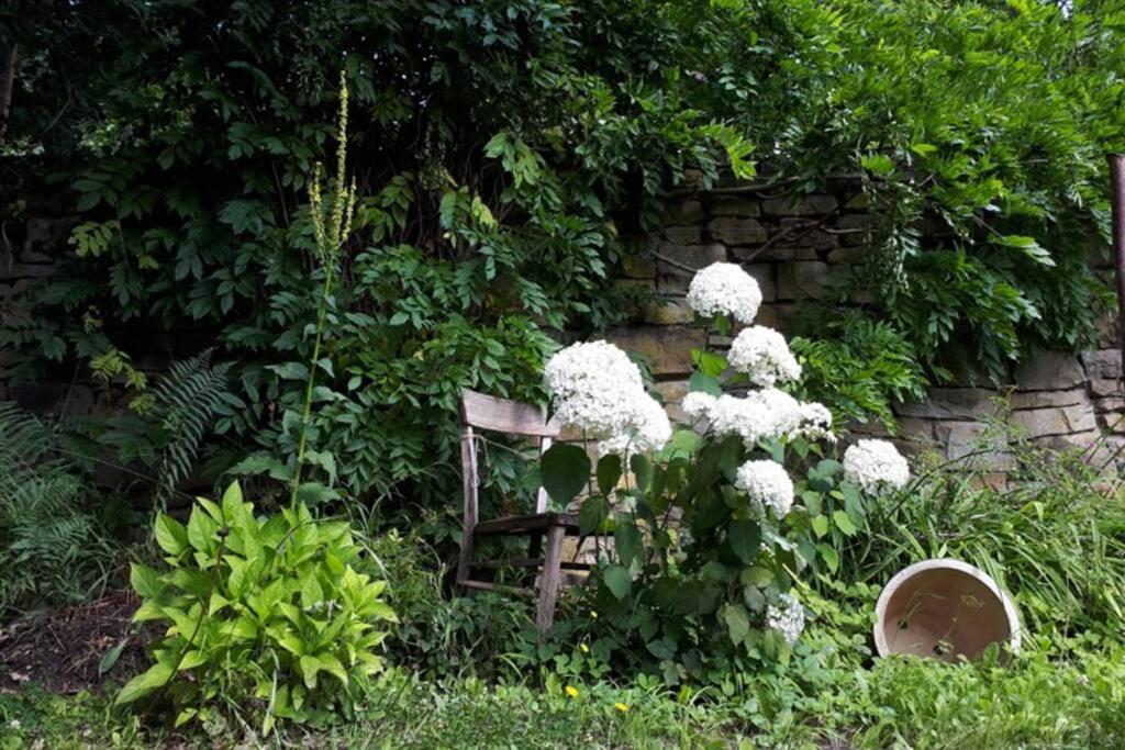 Eine Gemuetliche Ferienwohnung Mit Garten باد كارلسهافن المظهر الخارجي الصورة